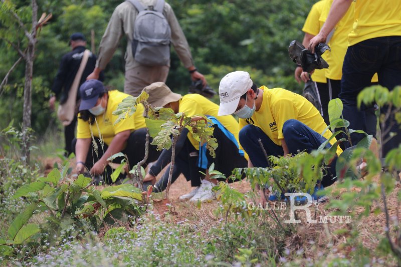 20210526-Tree planting dayt-047.jpg
